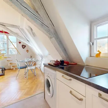 Le Nid Des Tanneurs Centre * Colmar