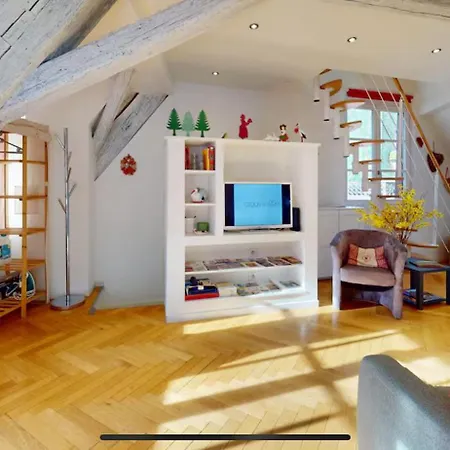 Le Nid Des Tanneurs Centre Apartment Colmar