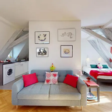 Le Nid Des Tanneurs Centre Apartment