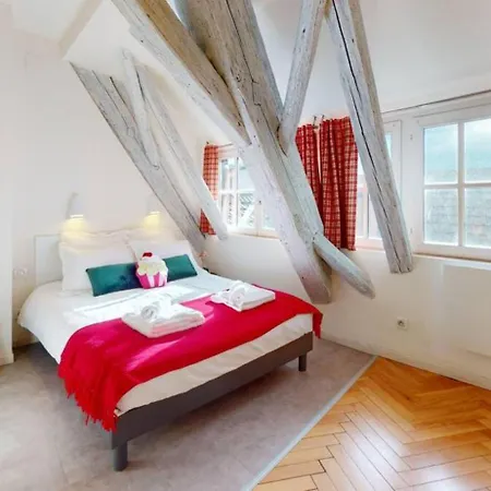 Le Nid Des Tanneurs Centre Apartment Colmar
