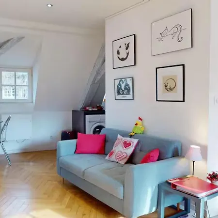 Le Nid Des Tanneurs Centre Apartment