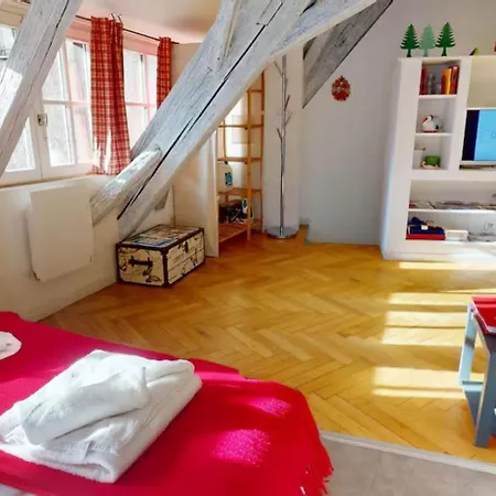 Διαμέρισμα Le Nid Des Tanneurs Centre *