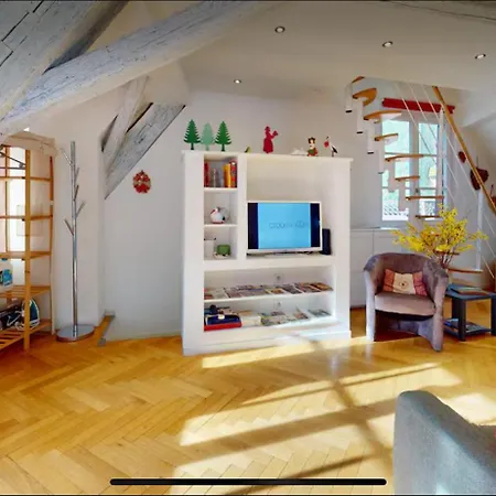 Apartment Le Nid Des Tanneurs Centre Colmar