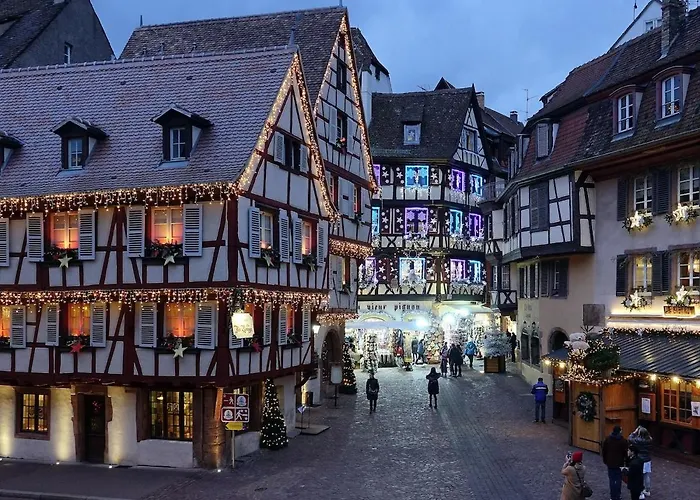 Le Nid Des Tanneurs Centre Lejlighed Colmar