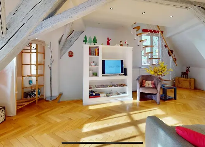 Le Nid Des Tanneurs Centre Lejlighed Colmar