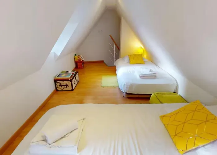 Le Nid Des Tanneurs Centre * Colmar