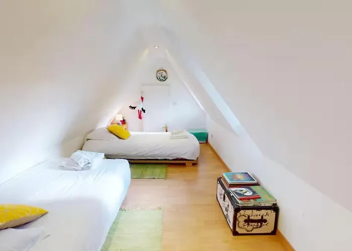 Le Nid Des Tanneurs Centre Colmar