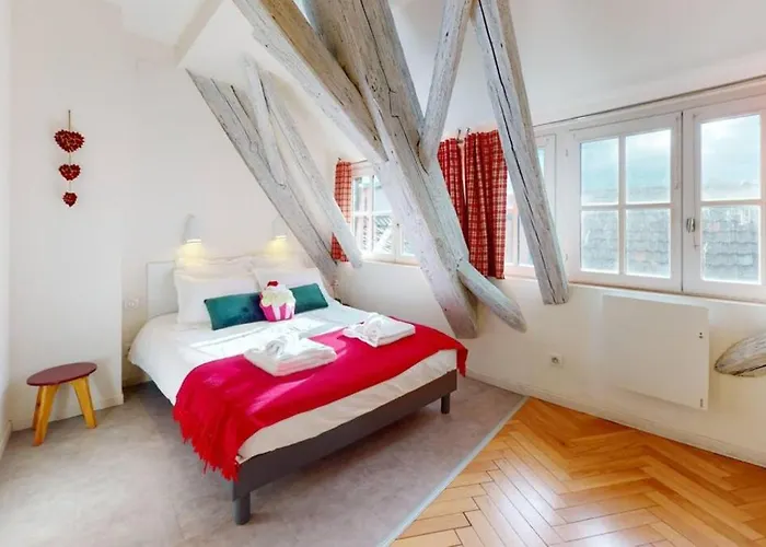 Le Nid Des Tanneurs Centre Lejlighed Colmar